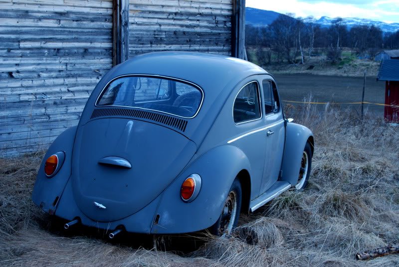 Boble2.jpg?t=1212269227