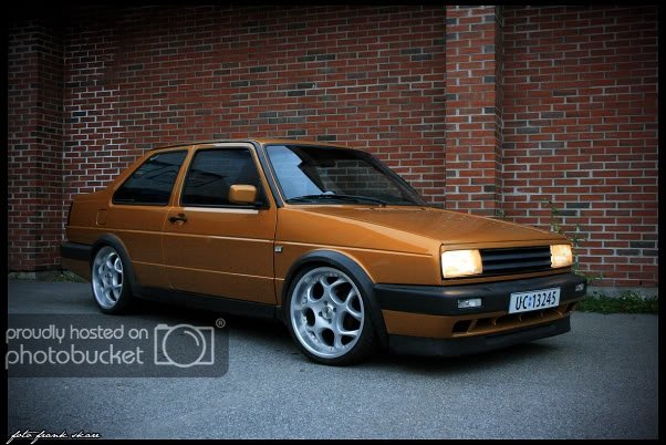 gullvrt.jpg?t=1211377793