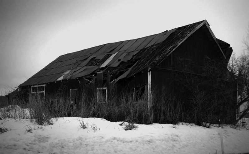 IMG_7720.jpg?t=1269641051