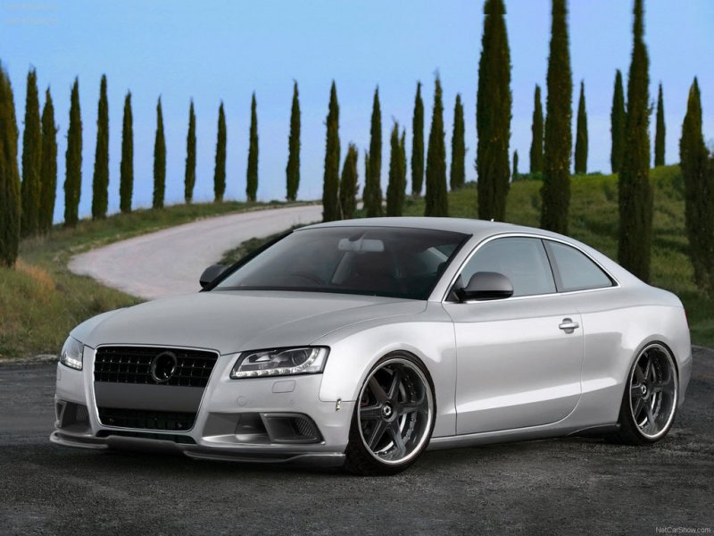 Audi-A5_3_0_TDI_quattro_2008_160-2.jpg