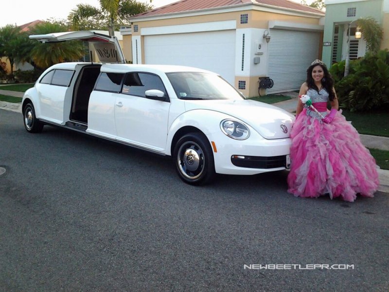 Beetle2012Limosina003.jpg