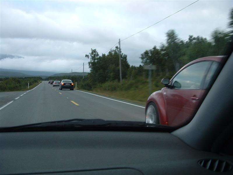 DSCF0049Medium.jpg