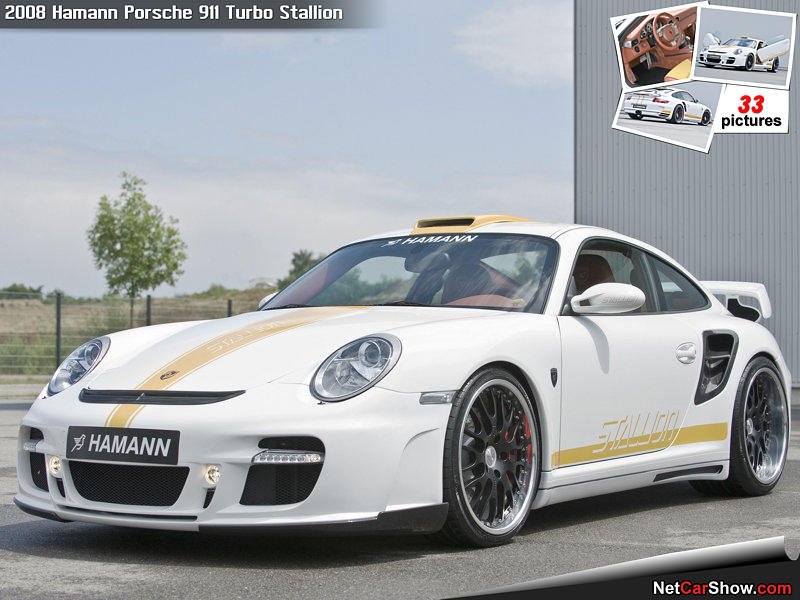 Hamann-Porsche_911_Turbo_Stallion_2008_p