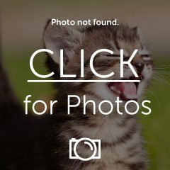 IMG_3959.jpg