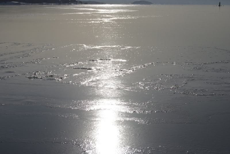 LysakerfjordenonIce.jpg
