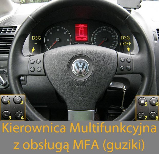 MFSW_guziki_DSG.jpg