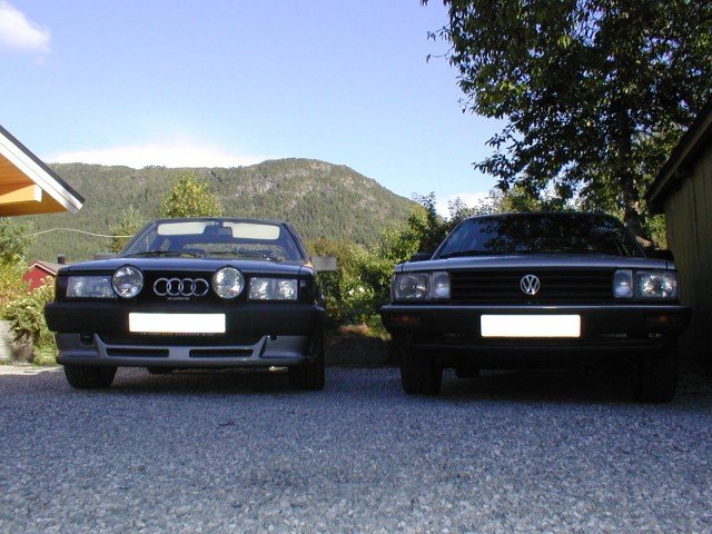 P1010004_001.sized.jpg