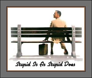 StupidIsAsStupidDoes.jpg