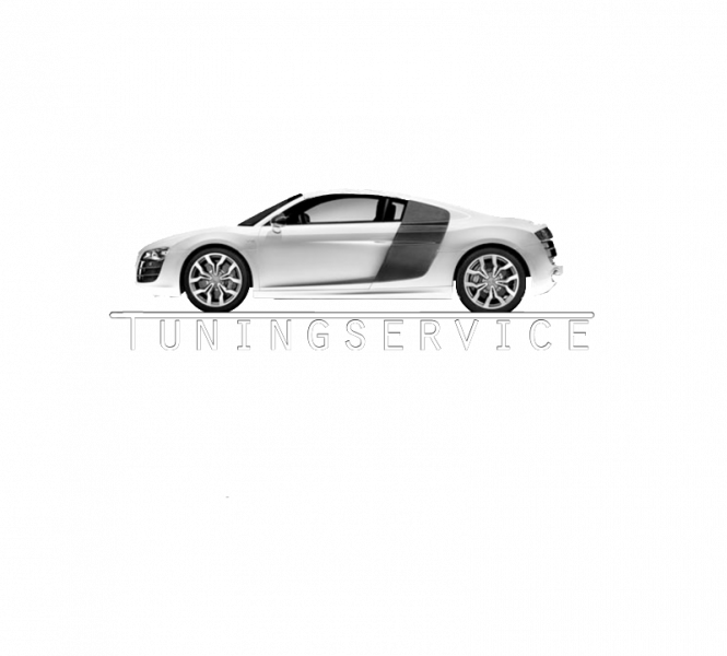 Tuningservicelogo.png
