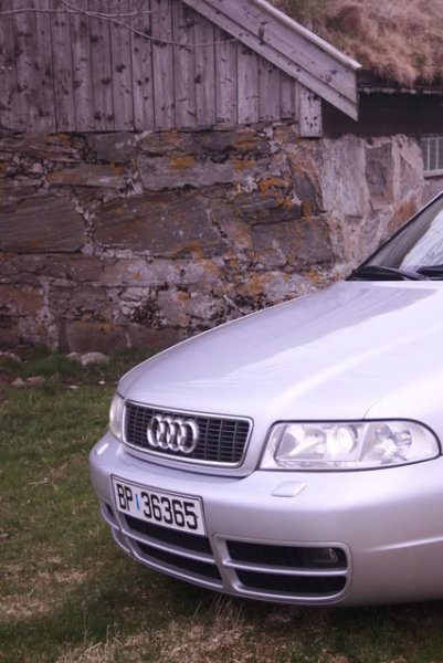 _MG_1100.jpg?t=1209155939