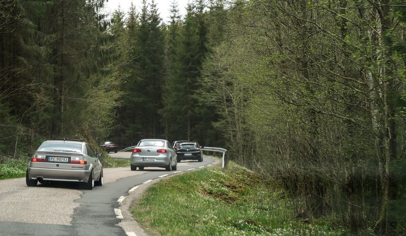 95172981_3430782596935407_60649550112452