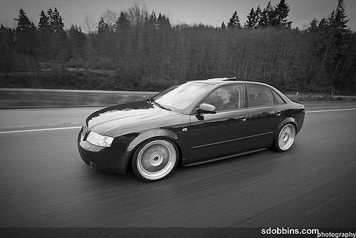 3388750201_869ef30cea_z.jpg?zz=1