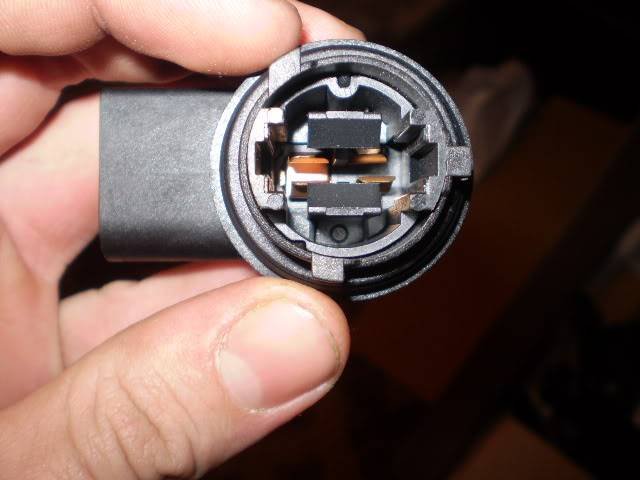 P2140013-1.jpg?t=1266671638