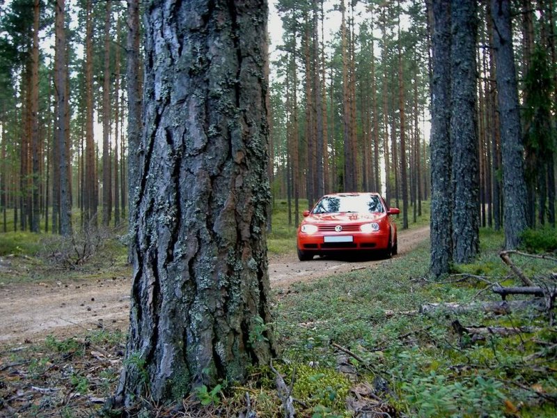 mod869.jpg?t=1232876671