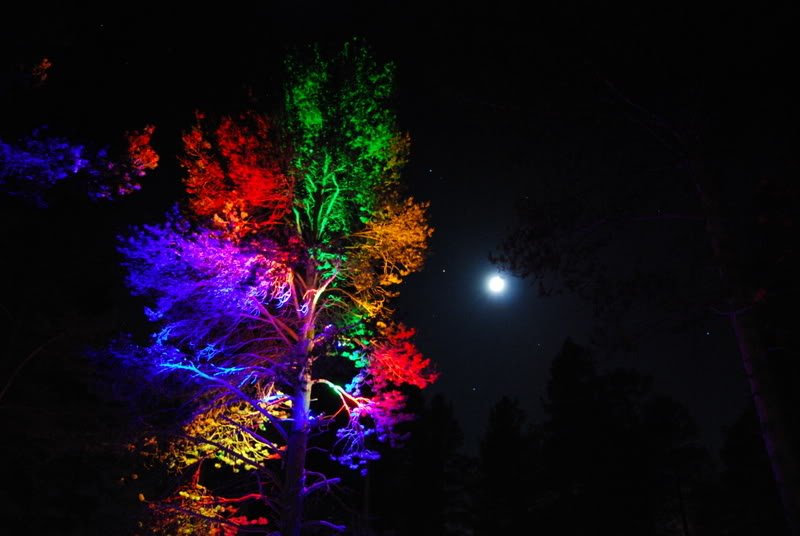 DSC_0034.jpg?t=1207954713