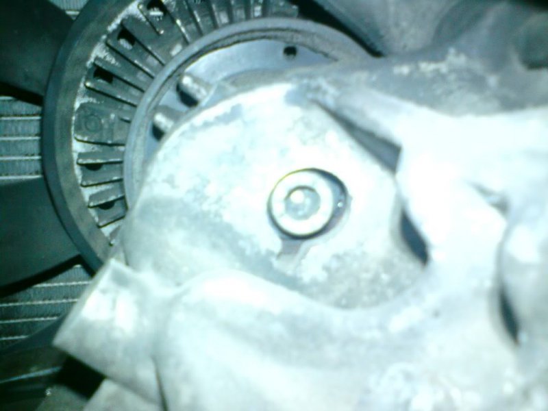 DSC00019.jpg?t=1283802824