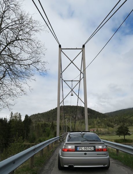 95798097_3430782576935409_50669244713072