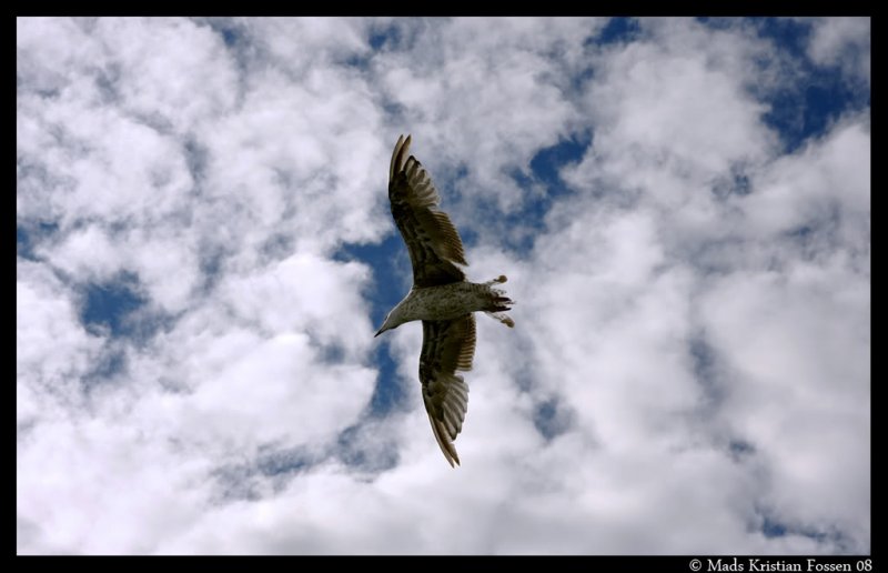 IMG_3813.jpg?t=1217377260