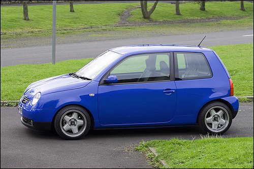 271604714_db30c81b90.jpg?v=0