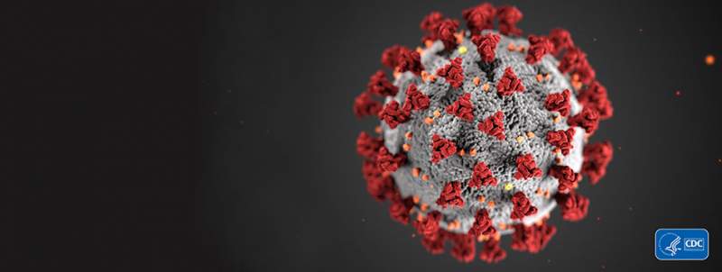 COVID-19 virus illustration