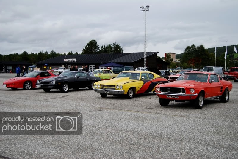 DSC_0235.jpg?t=1220215138