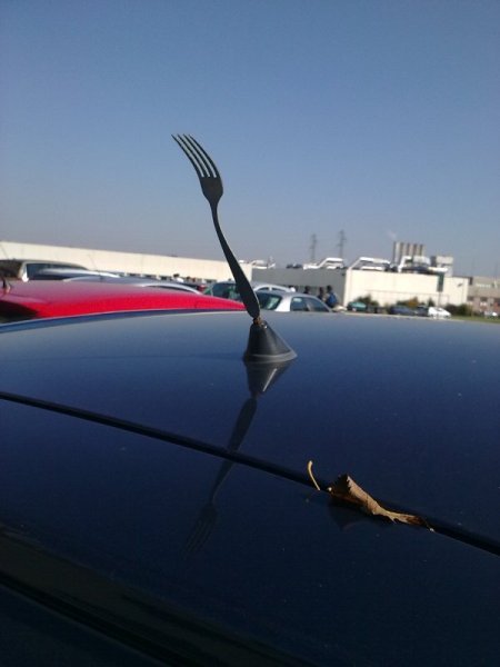 file.php?id=44586&mode=view