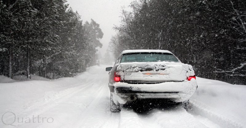 IMG_9119sd-1.jpg?t=1326678927