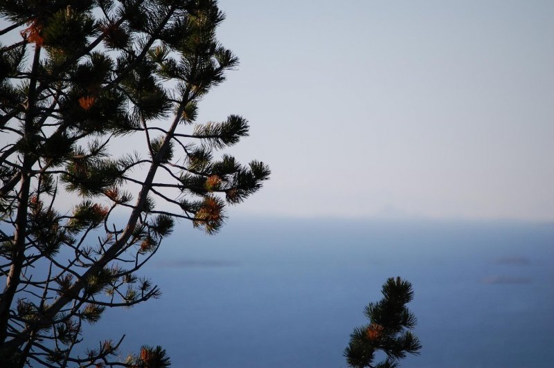 Furu.jpg?t=1213938263