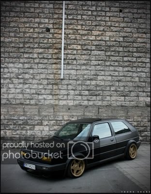 hog.jpg?t=1213718277