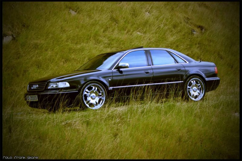 Gresshoppe.jpg?t=1205688842