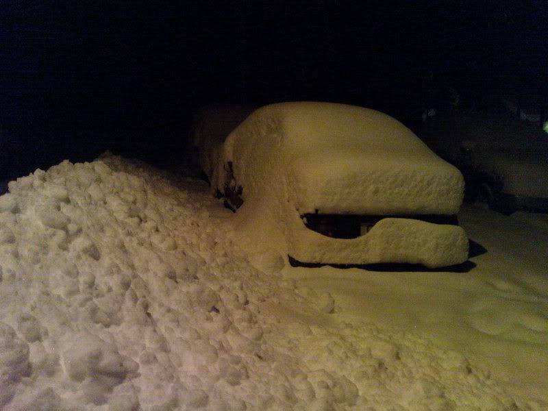 DSC00101.jpg?t=1197239938