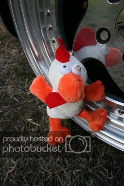 tehe.jpg?t=1244759001