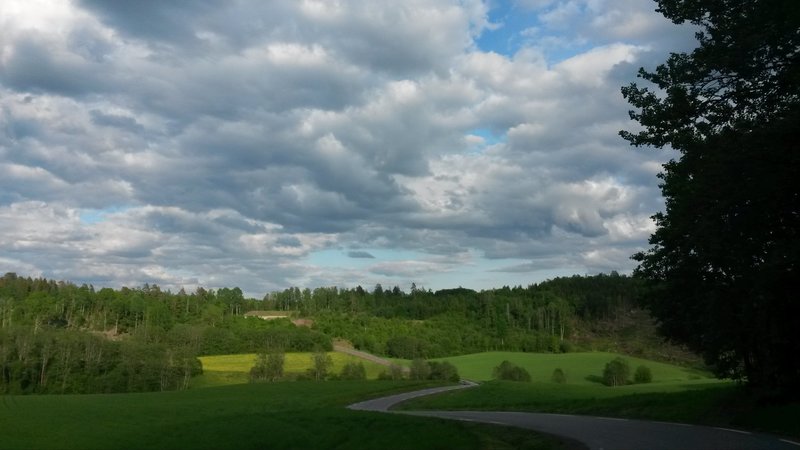 Bildet kan inneholde: sky, himmel, tre, gress, utendørs og natur