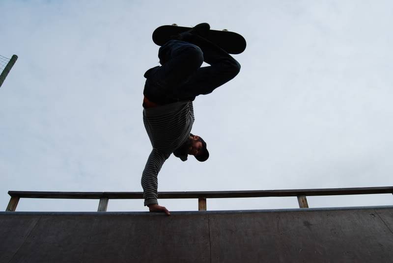 DSC_0268.jpg?t=1212004441