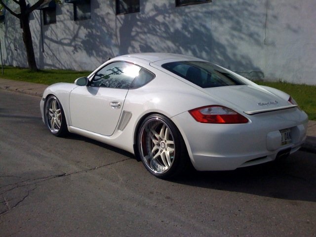 picture.php?albumid=1161&pictureid=6896