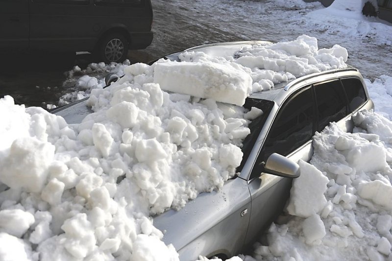 904827219.jpg?modified=1268329557000