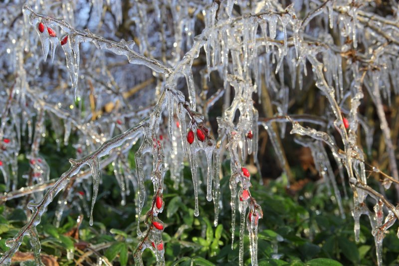 Tga5MNuTKbNlOIcD25igDEj51bjpXuTYrkVbugI0AcID19ODd_24hu0bo4KbqOa6F9v-f0HjS2fLJXoaAzI9YllBfXL--oa9_WIv1ARtuG5Hr2ug0Nd-sXNyvUyibetPJ9T7N3_GsRZeFpE5k2bxUwsIWhrd4Z2XMIcu9WSWoT0dFfRKfN-HwhTKApAUsYDhWDQCdJ66rs3gv3hCknAN0d9ZFpmpDq4xB1XW1gOp4mb7qlxs-31_26pP4AYMM80LHe6kouyobG7ruR_xbLZt7U5dQIIdKAXm7TEn3ZfhslOvNhLfCamTg3c7GhFO6Teydtkqvj49bTtnrSZ9IGUYcEv3UsMyKzKlmxurE7wSe9JQ-Kfm2wmgiKP0Sev-qyC1Lz23FxLbHwiUYiduB3bFPSi8wEzuw92JK9NQZ0dHt7weQhy0vF4Xq598_JPMNvopzGK89KLgbd6xTm5ABt9Nl5Eybytymx7AnCDMtEseaNL9oMvdwTK0uLjCdu0lNZNOPjV_cBqGwkVuj0Oxcj_WaaPYPyN95d5JjKdkIlsvdbum8fPZq1BK12VmzVHN0X9IyHQVgwTAdO28iDLgTMYtElgFTKzIXYtuKnXICqsj5Ls04ep-ALrAqXUDKjA1DYdMWv4MbpkNjP8D_j1PfpKyHk4utQ=w1600-h1067-no