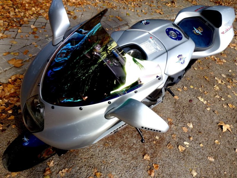 P10000471.jpg?t=1324367289