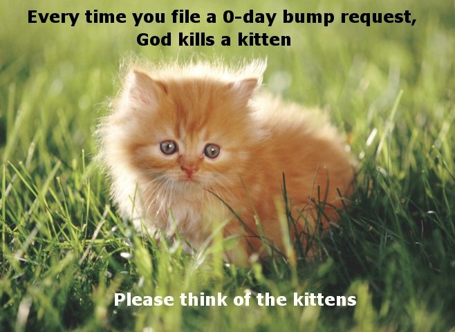 kitten-0day.jpg