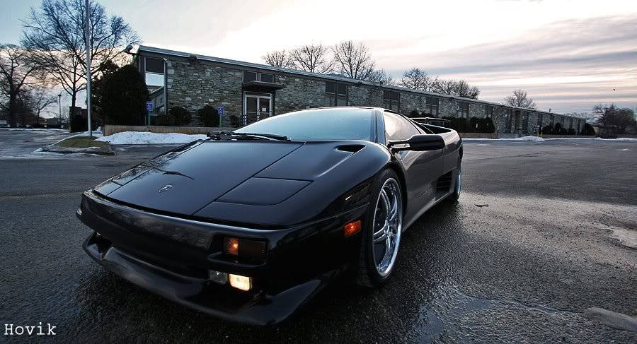 lambo2.jpg
