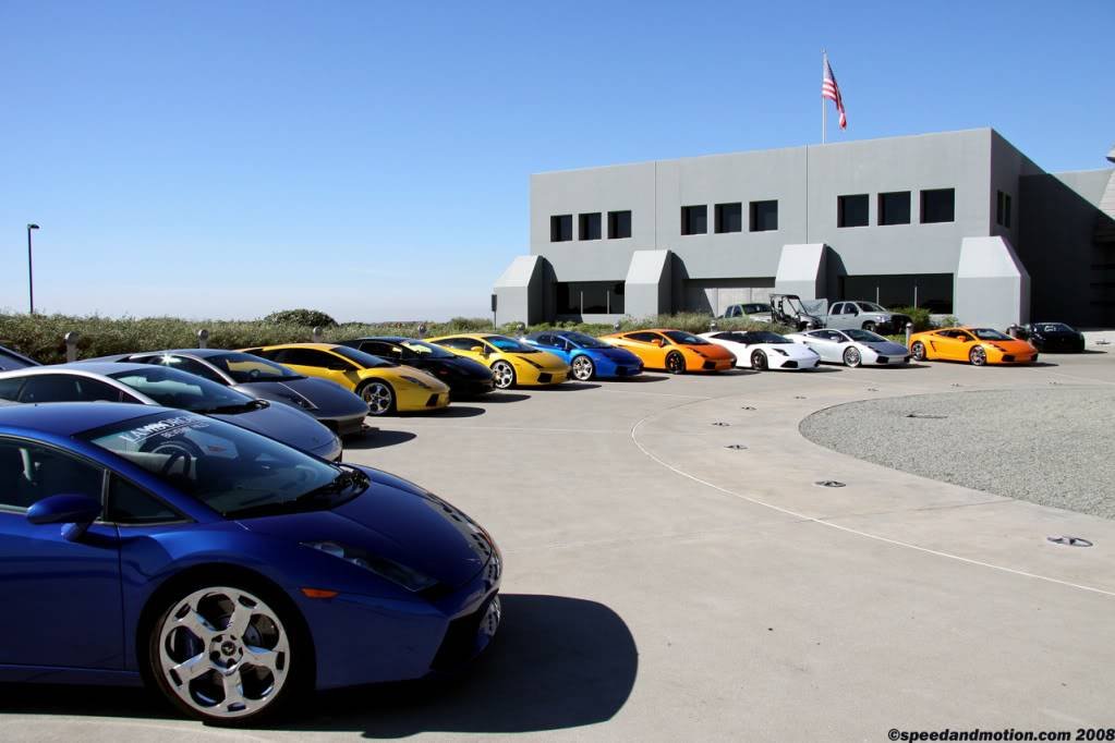 lambos.jpg