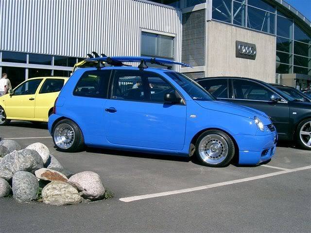 lupo2.jpg