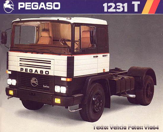 pegaso1231tinicio.jpg