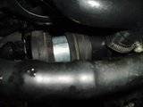 th_P6250124.jpg