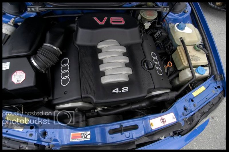 v8.jpg