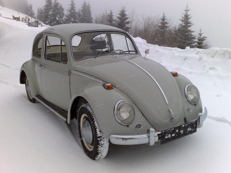 vw1200-710787.jpg