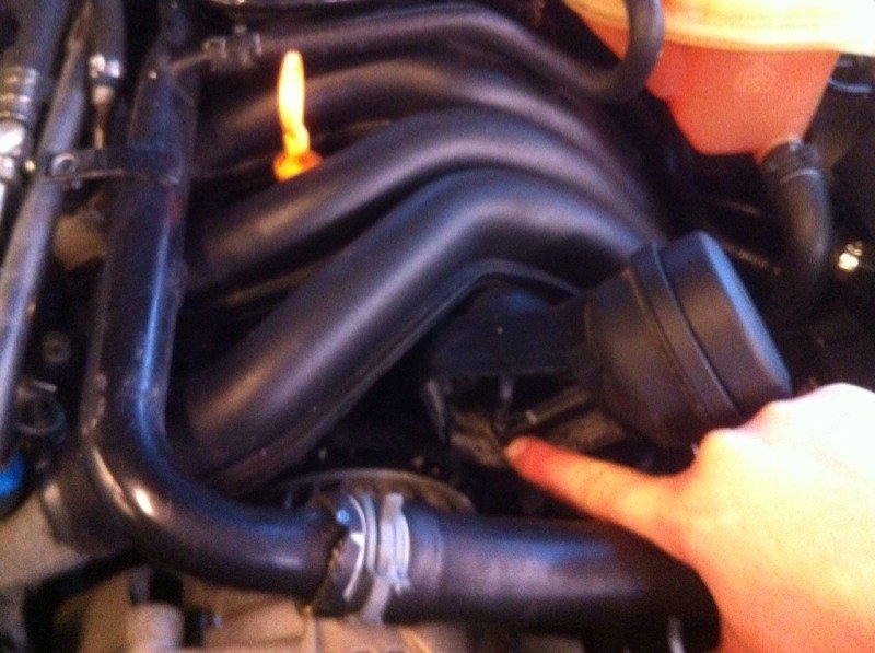 ImageUploadedByTapatalk HD1330889276.234468.jpg