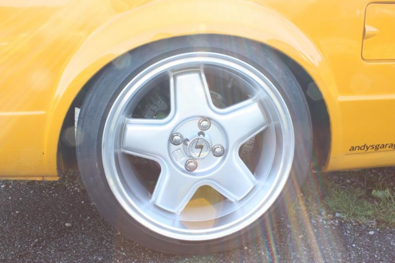 IMG_2683 (Large).jpg