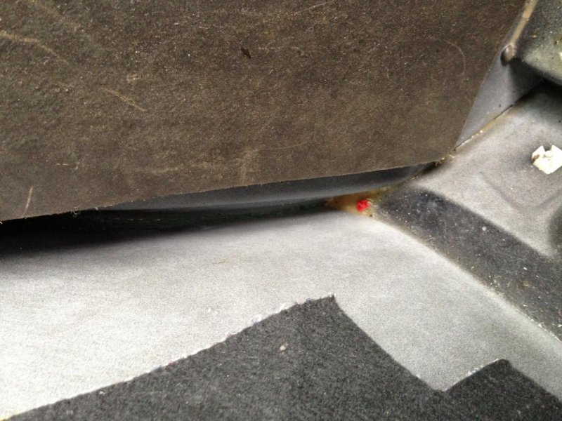 Photo 02.03.13 13 11 53.jpg