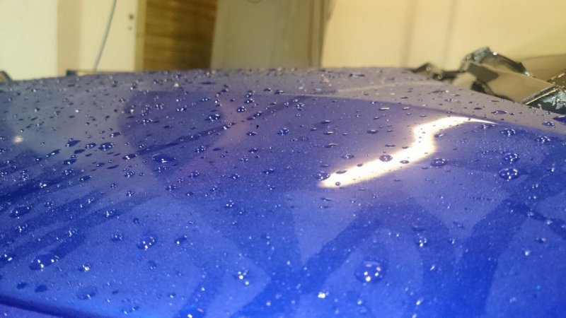 2015-11-18 19.27.20.jpg